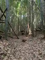 妙見神社(千葉県)