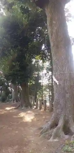 鶴峯八幡宮の自然