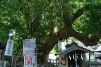 海南神社(神奈川県)