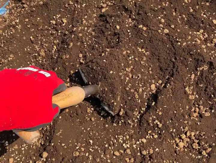 總社 和田八幡宮(福井県)