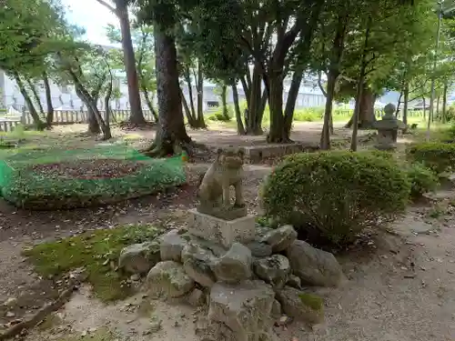 新屋坐天照御魂神社の狛犬