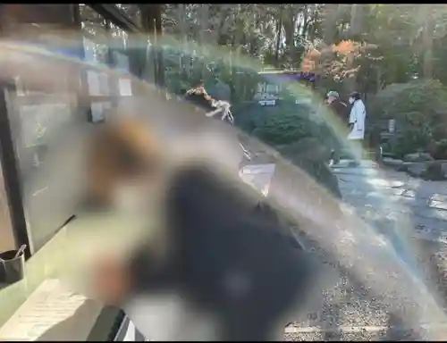 大國魂神社(東京都)