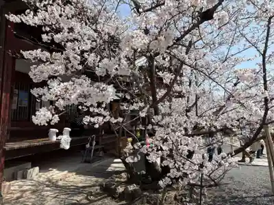 安岡寺(大阪府)
