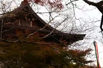 大悲閣千光寺(京都府)