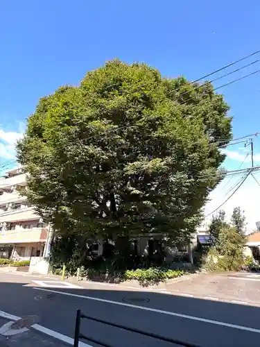 小野神社の自然