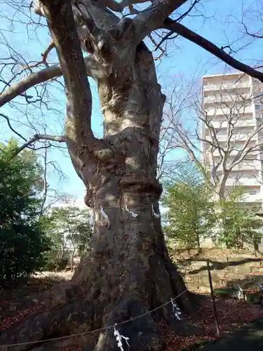 愛宕神社(福島県)