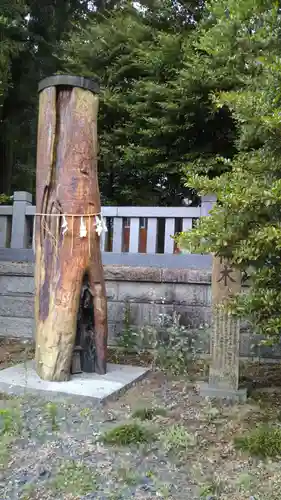 安房神社の自然