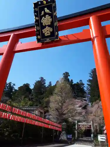 大崎八幡宮の鳥居