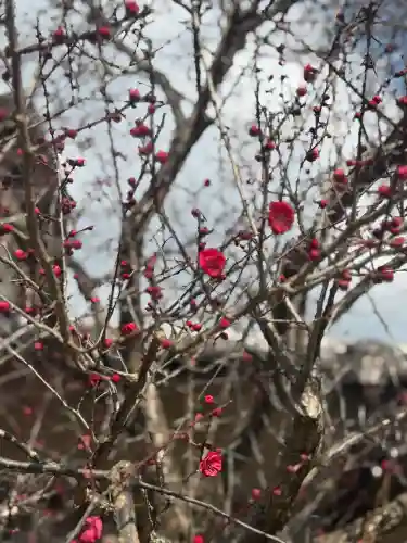 北野天満宮の{uncategorized: "未分類", other: "その他", undefined: "問題あり", building: "その他建物", grave: "お墓", sacred_gate: "鳥居", guardian: "狛犬", statue: "像", buddha: "仏像", history: "歴史", nature: "自然", garden: "庭園", animal: "動物", pagoda: "塔", temizu: "手水舎", mountain_gate: "山門・神門", sanctuary: "本殿・本堂", subordinate: "末社・摂社", art: "芸術", scenery: "景色", jizo: "地蔵", ema: "絵馬", goshuin: "御朱印", omikuji: "おみくじ", items: "授与品その他", amulet: "お守り", goshuincho: "御朱印帳", eats: "食事", festival: "お祭り", votive_dance: "神楽", shichigosan: "七五三参", wedding: "結婚式", experience: "体験その他", initially: "初詣", around: "周辺", anti_infection: "感染症対策"}