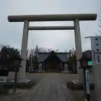 鷲神社の鳥居