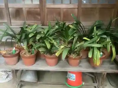 観音寺(愛知県)