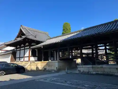 妙心寺（妙心禅寺）(京都府)