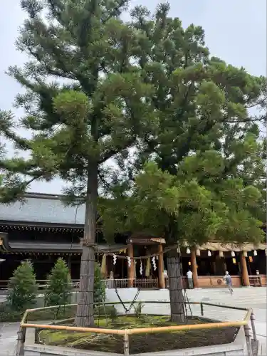 寒川神社(神奈川県)