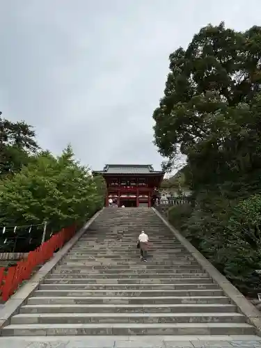 鶴岡八幡宮(神奈川県)