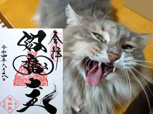 増上寺塔頭 三縁山 宝珠院の動物