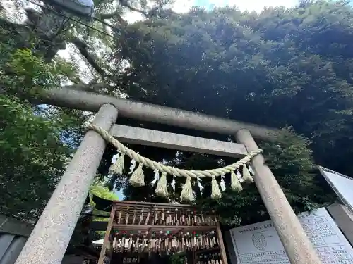 川越氷川神社(埼玉県)