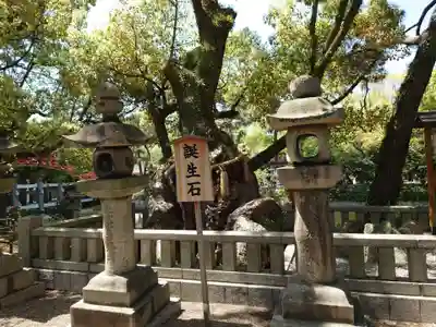 住吉大社(大阪府)