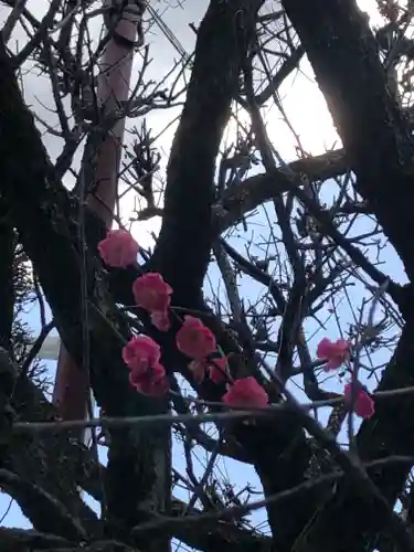 境香取神社の自然