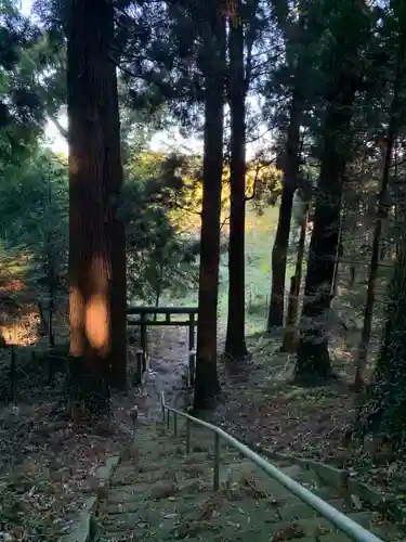 菊理神社の鳥居