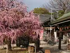 岡崎天満宮の自然