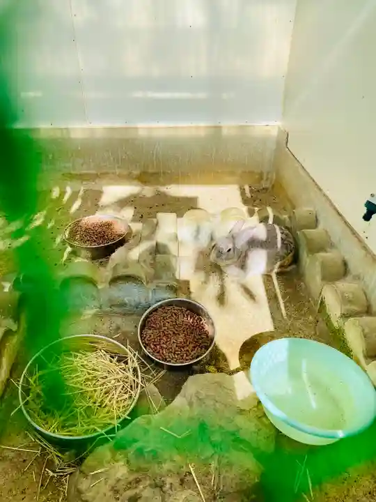 持地院(山形県)