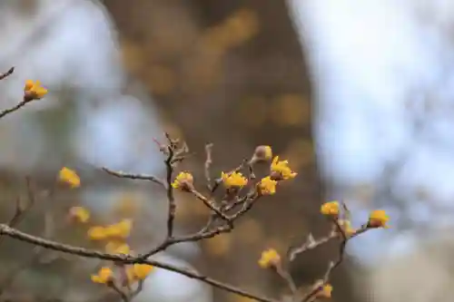 開成山大神宮の庭園