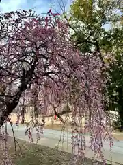 屯倉神社(大阪府)