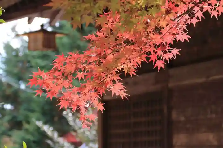 滑川神社 - 仕事と子どもの守り神の自然