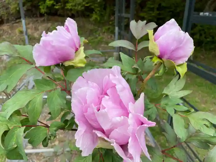 永澤寺(兵庫県)