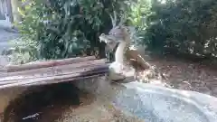 八幡神社の手水