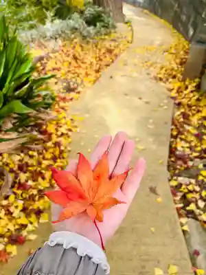 紅葉八幡宮(福岡県)