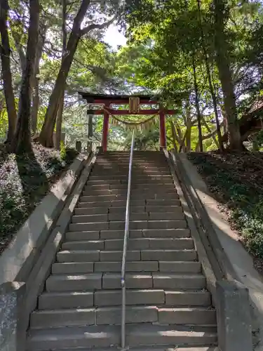 氷川女體神社(埼玉県)