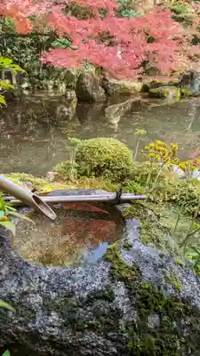 蓮華寺（洛北蓮華寺）(京都府)