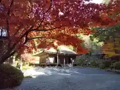 妙楽寺(福井県)