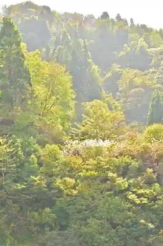 髙龍神社 中社(新潟県)