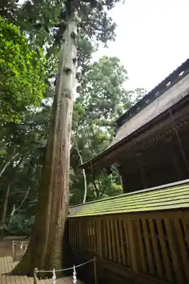 鹿島神宮(茨城県)