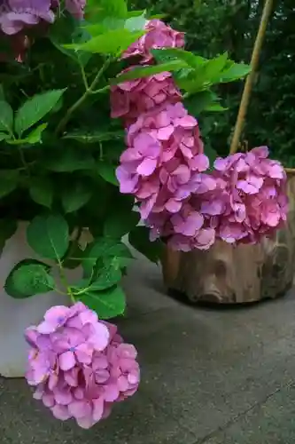 東京大神宮のその他建物