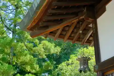 闘鶏神社の本殿・本堂