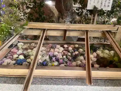 東京大神宮の手水舎