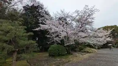 隨心院（随心院）(京都府)