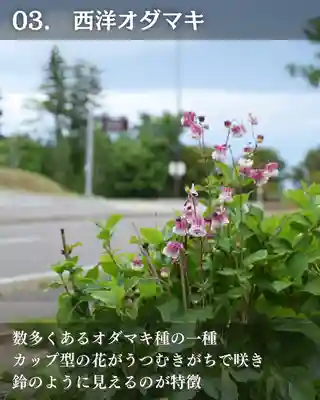 宝光寺(北海道)