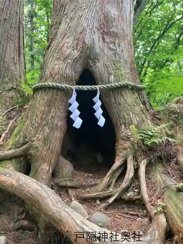 戸隠神社奥社(長野県)
