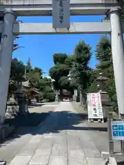 亀ケ池八幡宮の鳥居