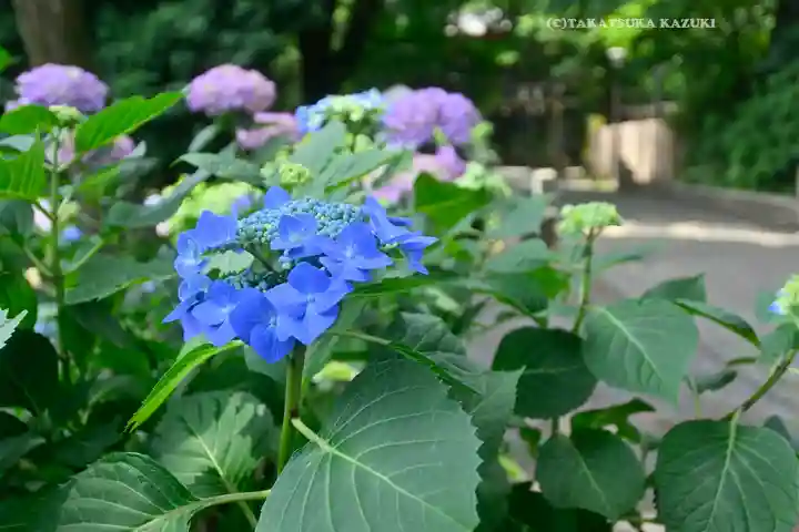 仙波東照宮(埼玉県)
