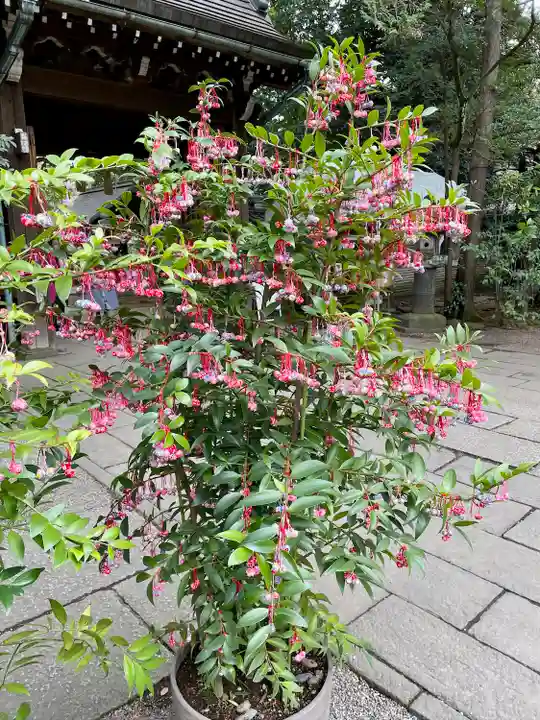 赤坂氷川神社(東京都)