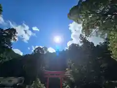 丹生川上神社（下社）(奈良県)