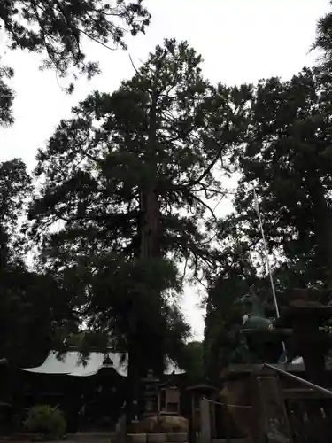 水主神社の自然