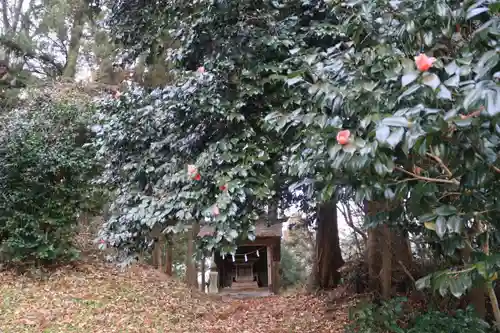 鹿島大神宮の末社・摂社