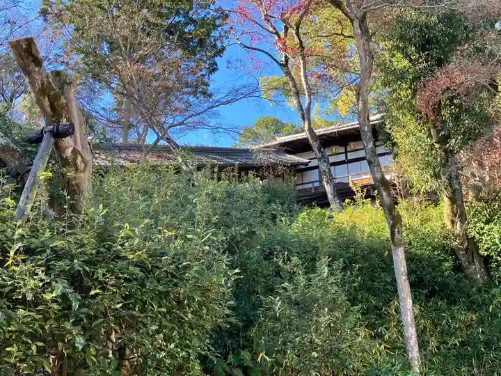 光明寺(粟生光明寺)(京都府)