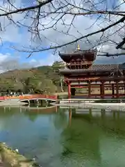 平等院(京都府)